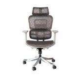 Haiza-Mesh-Office-Chair-Series-I