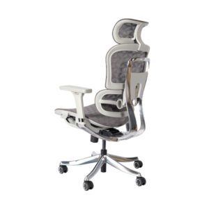 Haiza-Mesh-Office-Chair-Series-I