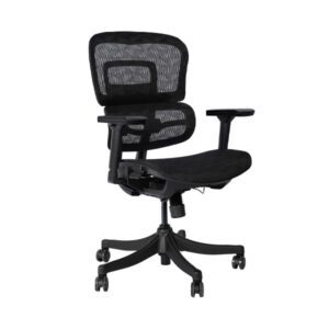 Huma-Classic-Office-Chair-Series-II