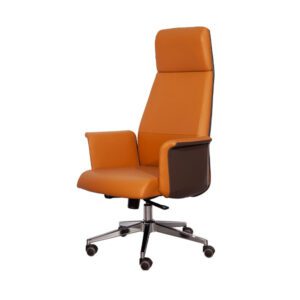 Asla-Classic-Leather-Office-Chair-Series-I