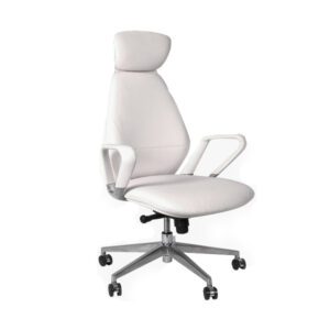 Aziyah-Leather-Office-Chair-Series-I