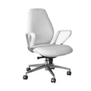 Aziyah-Leather-Office-Chair-Series-II