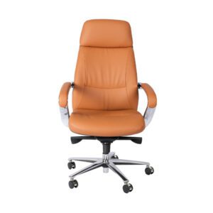 Alitza-Leather-Office-Chair-Series-I