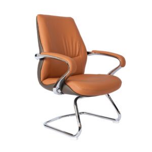 Alitza-Leather-Office-Chair-Series-III